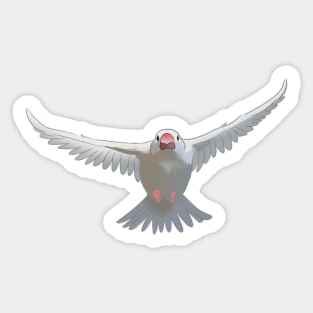 White Java sparrow Sticker